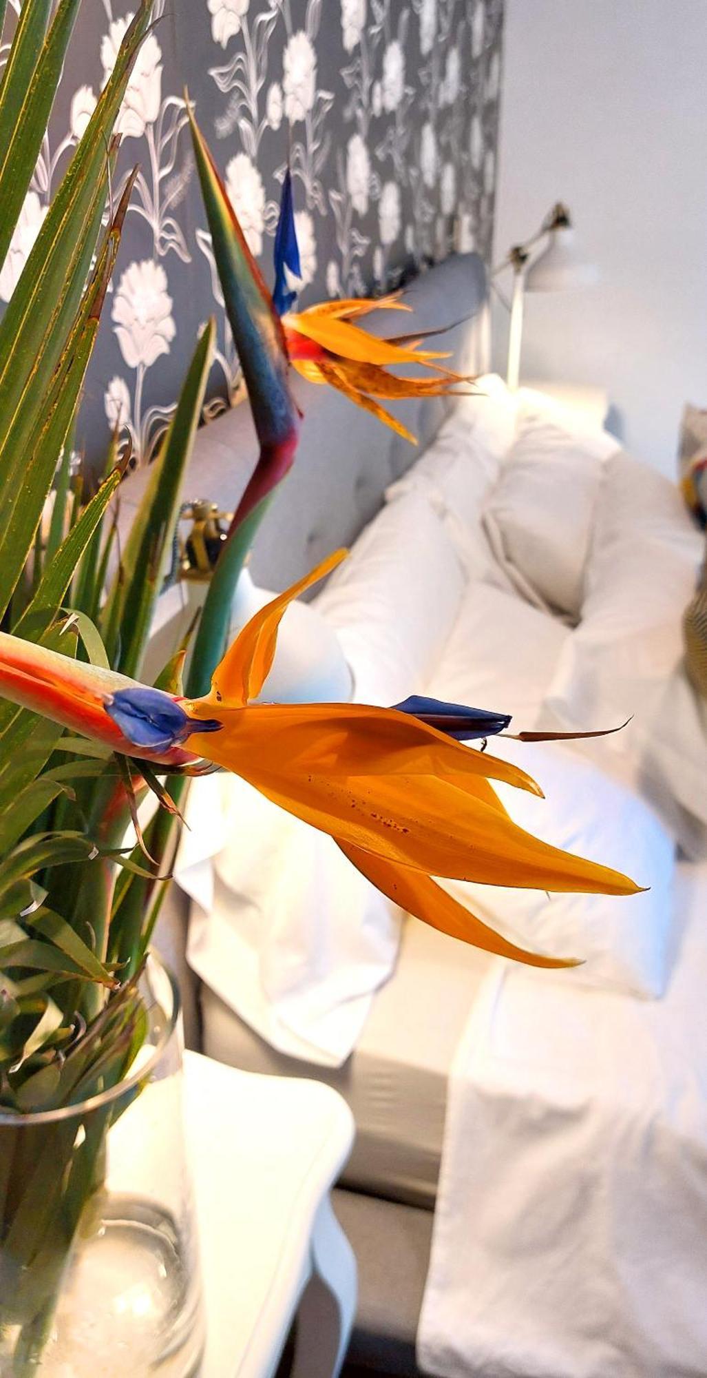 Nabrisa Marbella, 5 Bedroom, Private Pool, Garden, Bbq Villa Marbella